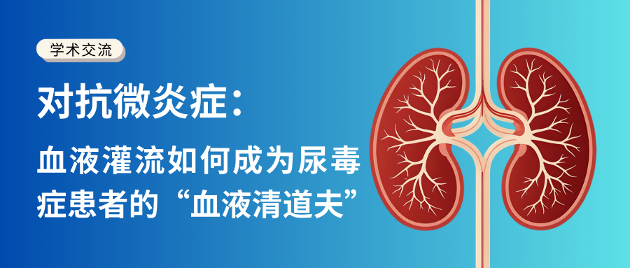 對抗微炎癥：血液灌流如何成為尿毒癥患者的“血液清道夫”